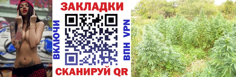 Сколько стоит Лесосибирск Конопля МЕТАДОН A-PVP МЕФ Кокаин Амфетамин
