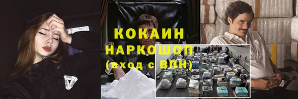 спайс Алзамай