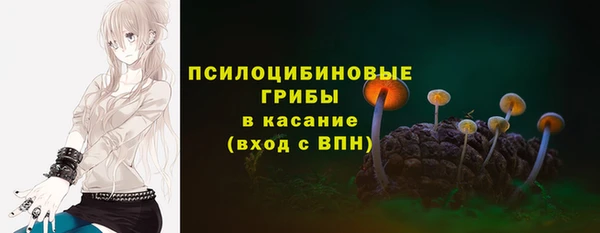 спайс Алзамай