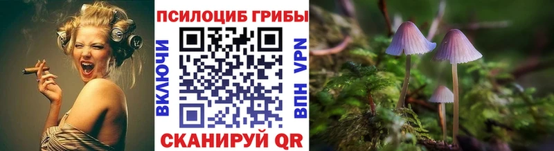 Галлюциногенные грибы Psilocybe  даркнет сайт  Лесосибирск 